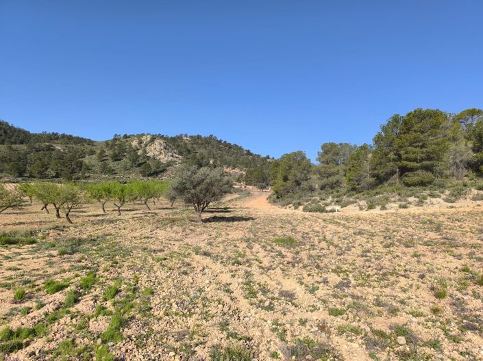 Image No.1-Land for sale