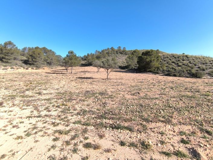 Image No.2-Land for sale