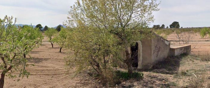 Image No.2-Terre à vendre à Yecla