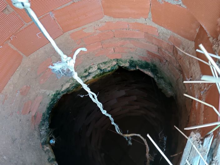 Image No.5-Terre à vendre à Yecla