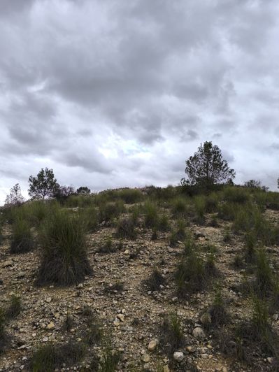 Image No.10-Terre à vendre à Chinorlet