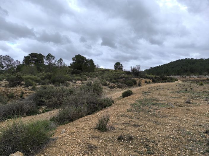 Image No.11-Terre à vendre à Chinorlet