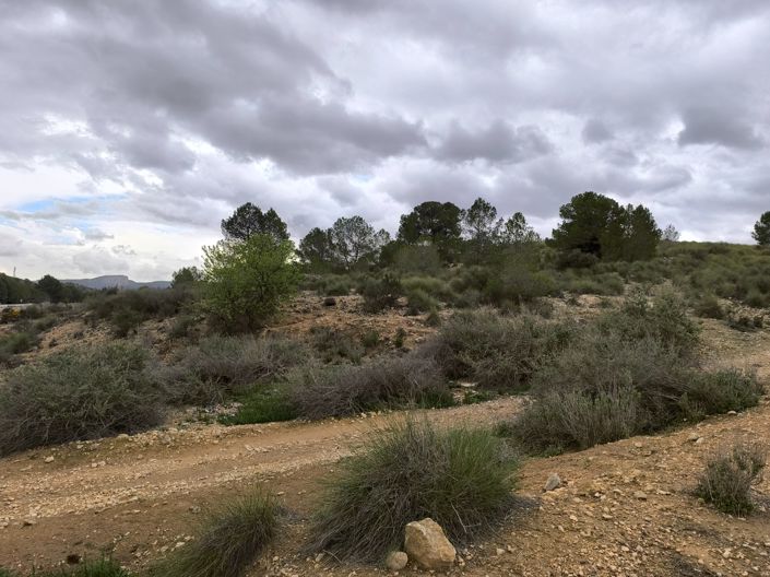 Image No.12-Terre à vendre à Chinorlet