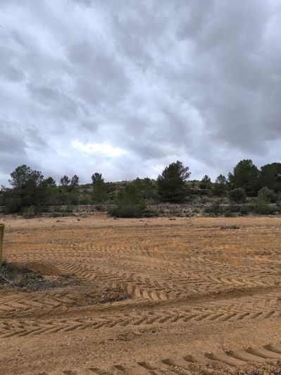 Image No.13-Terre à vendre à Chinorlet