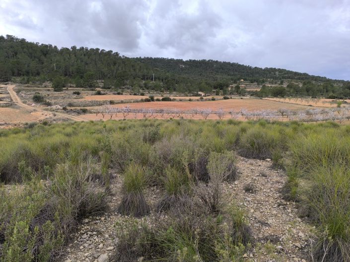 Image No.17-Terre à vendre à Chinorlet