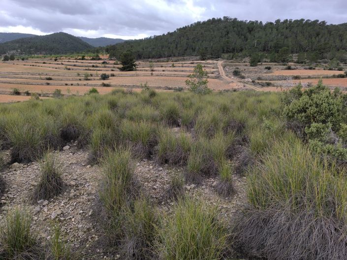 Image No.19-Terre à vendre à Chinorlet
