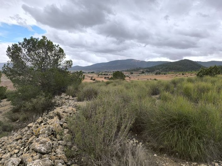 Image No.21-Terre à vendre à Chinorlet