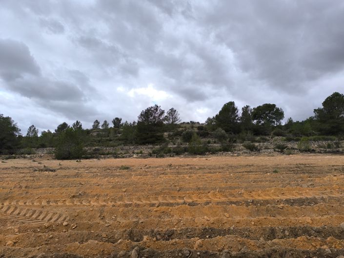 Image No.3-Terre à vendre à Chinorlet