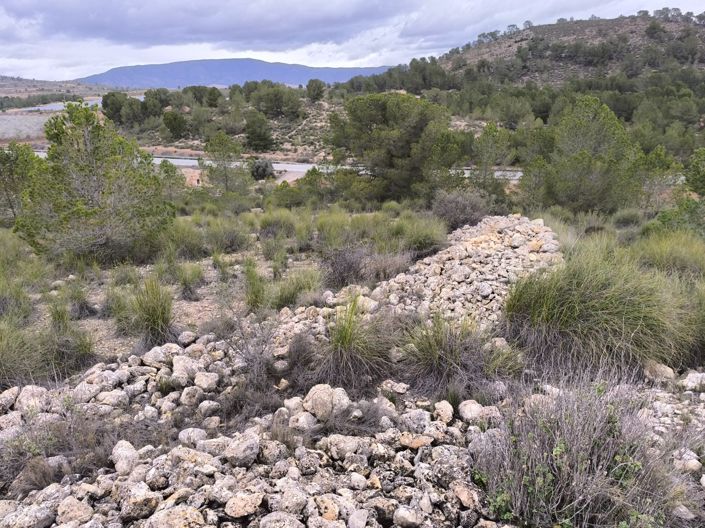 Image No.7-Terre à vendre à Chinorlet