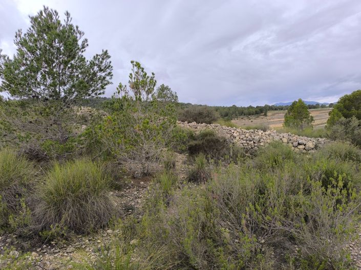 Image No.9-Terre à vendre à Chinorlet