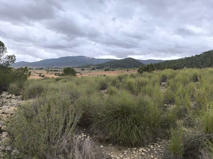 Image No.4-Terre à vendre à Chinorlet