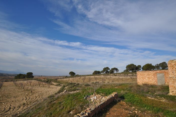 Image No.11-6 Bed Country House for sale