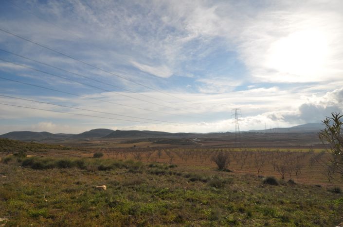 Image No.19-6 Bed Country House for sale