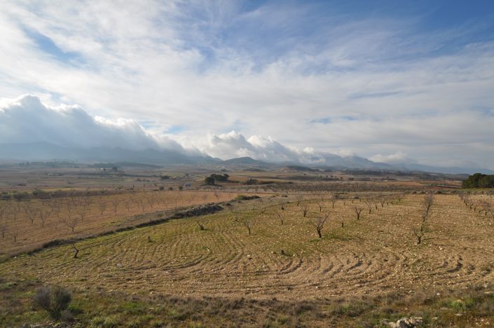 Image No.22-6 Bed Country House for sale