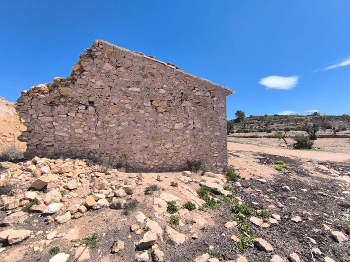 Image No.4-Propriété de 2 chambres à vendre à Pinoso