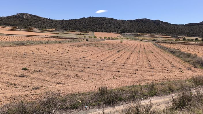 Image No.2-Terre à vendre à Abanilla