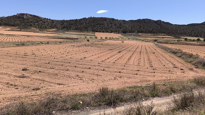 Image No.2-Terreno en venta