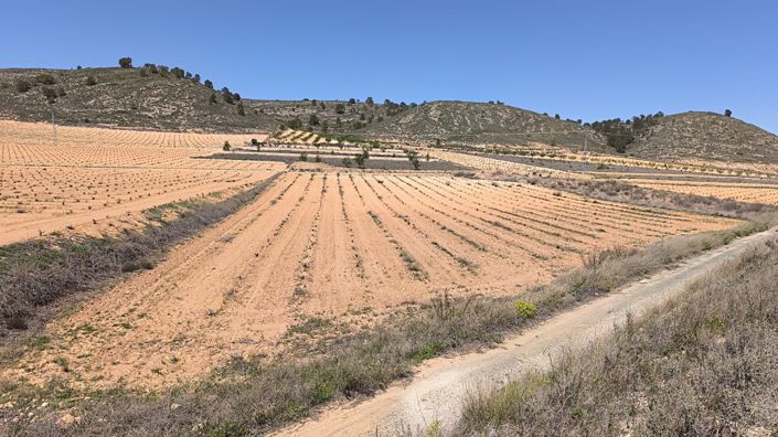 Image No.3-Terre à vendre à Abanilla