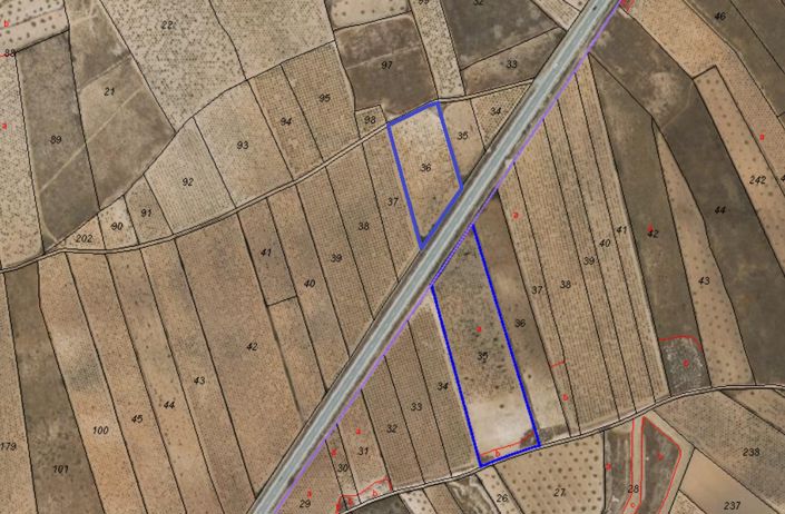 Image No.4-Terre à vendre à Abanilla