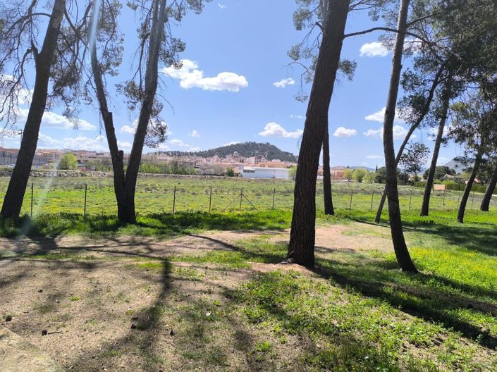 Image No.30-Villa de 7 chambres à vendre à Yecla