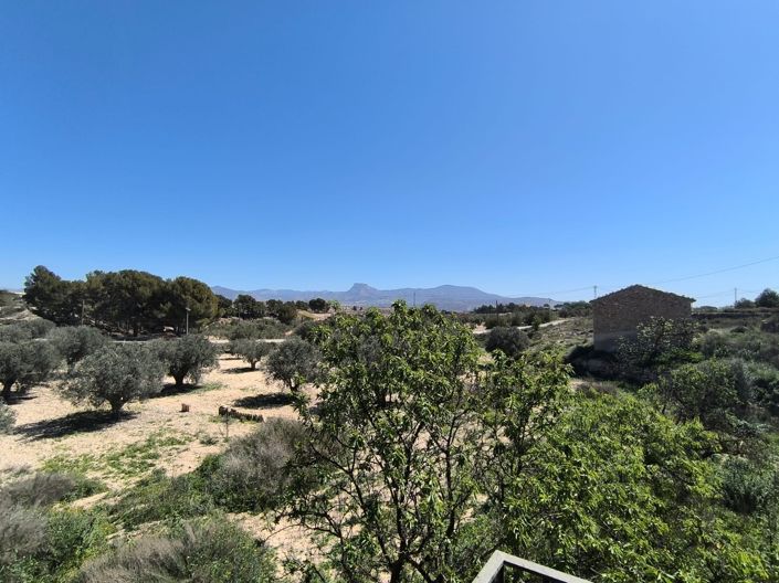 Image No.29-Maison de campagne de 3 chambres à vendre à Monóvar