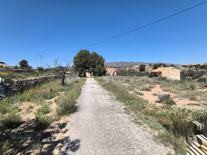 Image No.31-Maison de campagne de 3 chambres à vendre à Monóvar