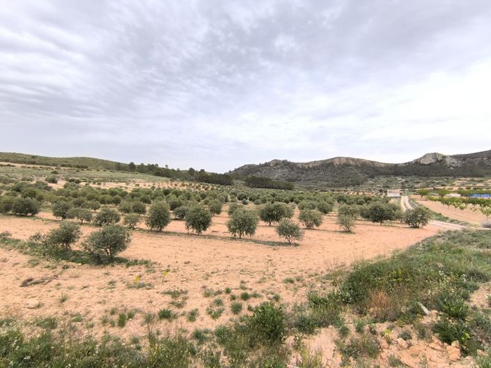 Image No.2-Maison de campagne de 2 chambres à vendre à Jumilla