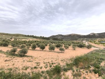 o1iovvlv4t40o17mu1l9r1bsn19h91o