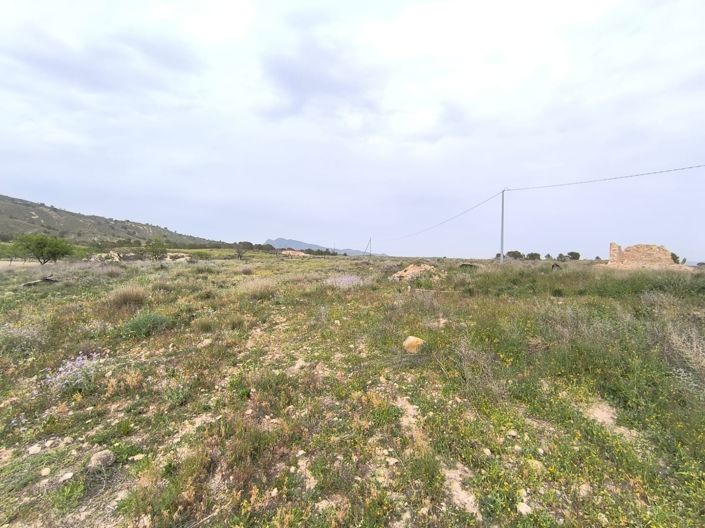 Image No.15-8 Bed Property for sale