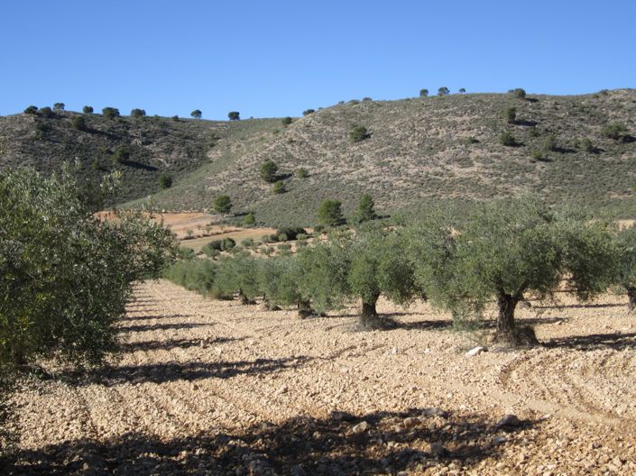 Image No.2-Land for sale