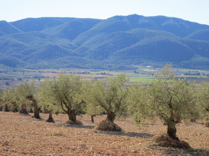 Image No.3-Land for sale