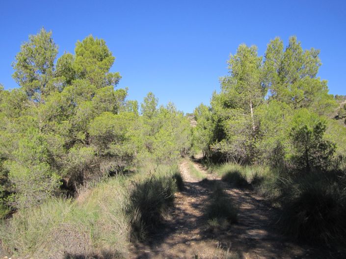 Image No.4-Land for sale