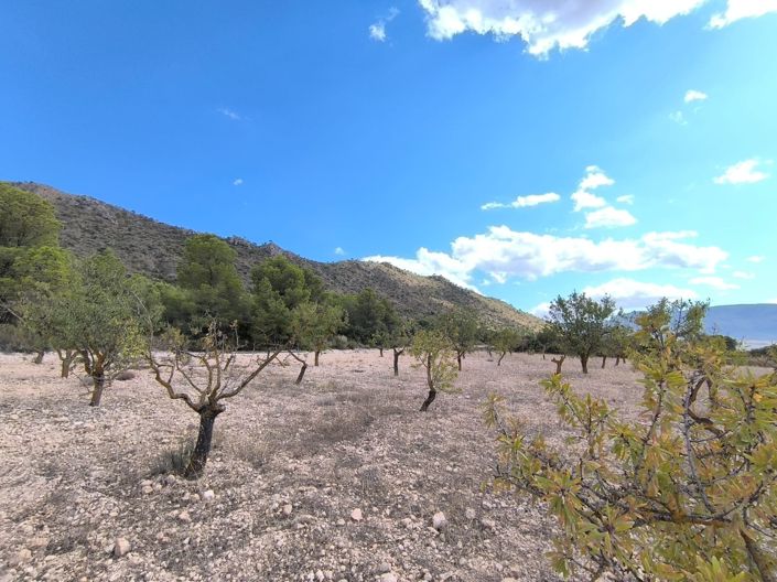 Image No.2-Land for sale