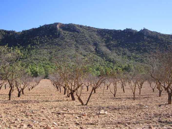 Image No.5-Land for sale