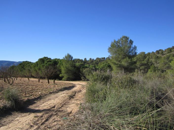 Image No.6-Land for sale