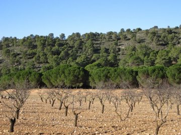 6a422471b7038db7