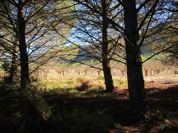 Image No.8-Land for sale