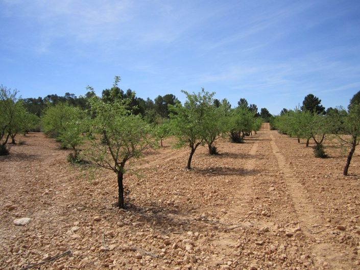 Image No.2-Terre à vendre