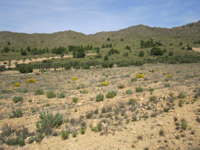Image No.1-Land for sale
