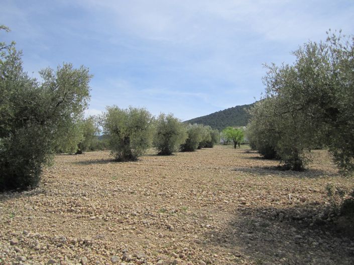 Image No.6-Land for sale