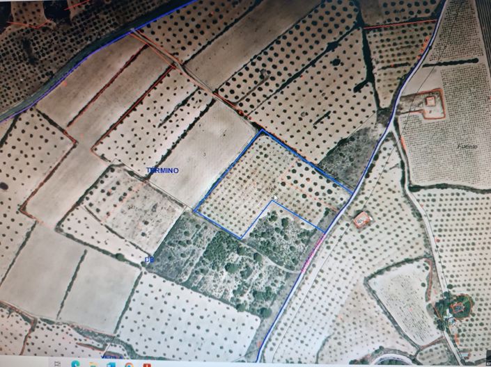 Image No.9-Terre à vendre à Yecla