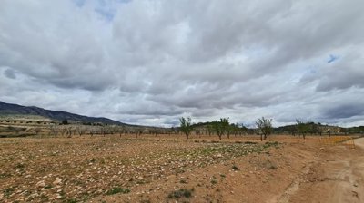 d6811b6c30d9436811b6c30d989