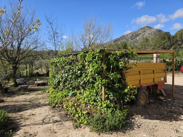 Image No.39-5 Bed Country House for sale