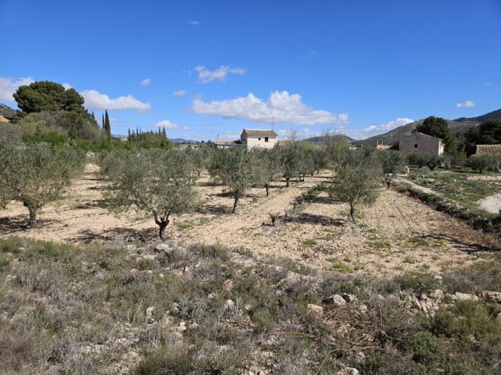 Image No.40-5 Bed Country House for sale