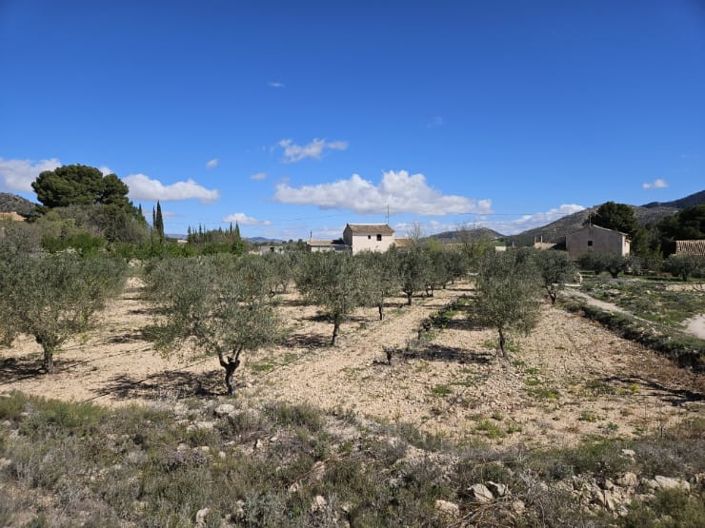 Image No.47-5 Bed Country House for sale