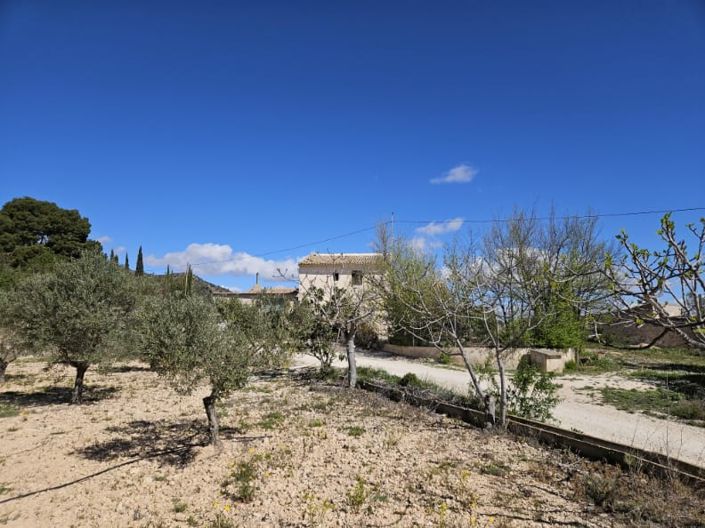 Image No.49-5 Bed Country House for sale