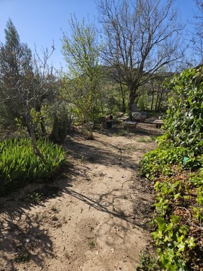 Image No.37-5 Bed Country House for sale