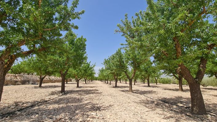 Image No.1-Land for sale
