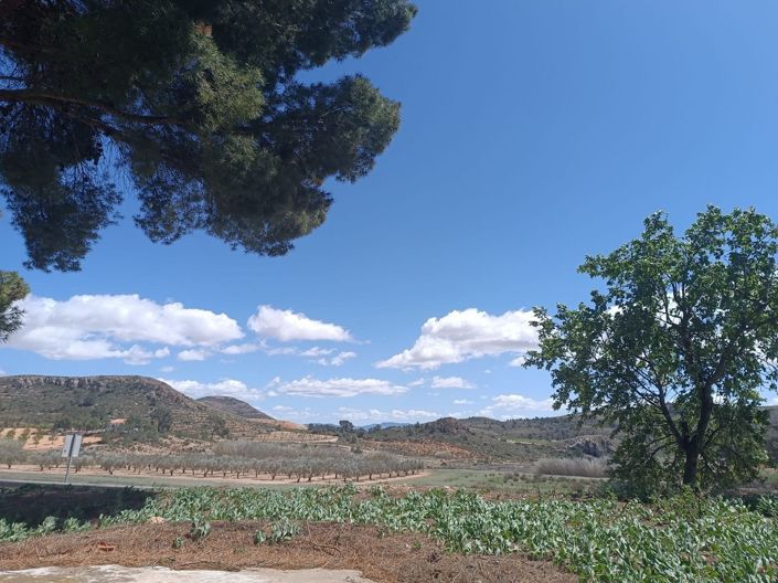 Image No.3-4 Bed Country House for sale