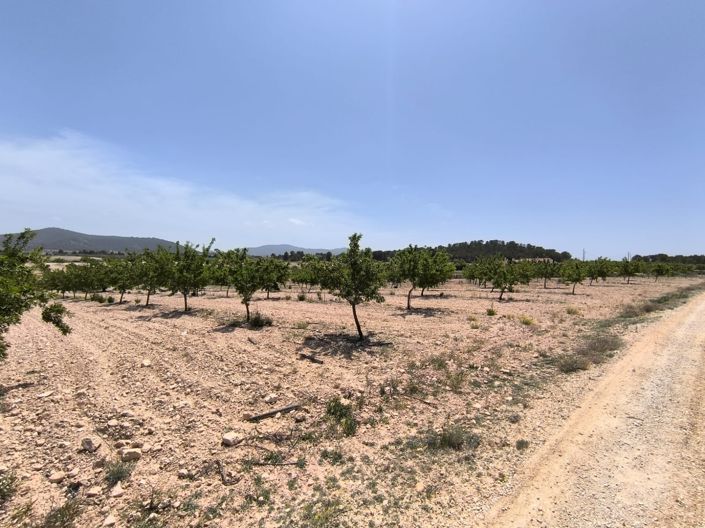 Image No.2-Land for sale